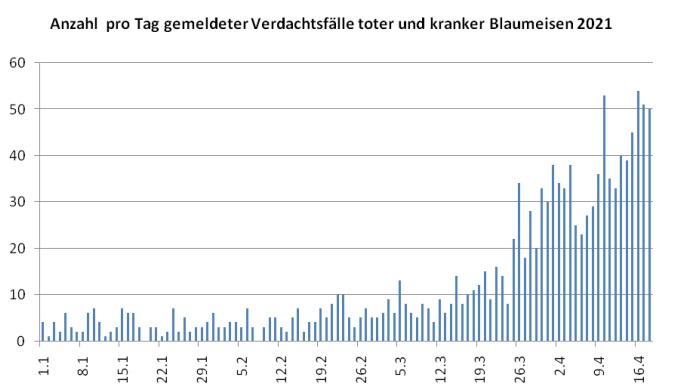 BlueTitsGraph